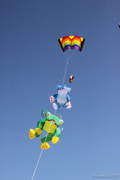 Festival Cerfs Volants Chatelaillon 2010_019.JPG